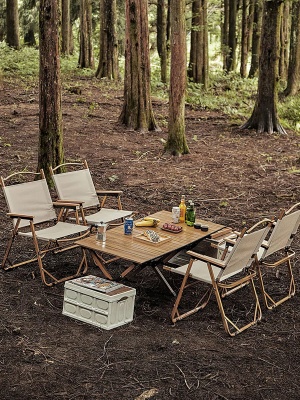 Кресло кемпинговое ADR Basic, Sand27