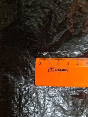 Палатка Talberg BASE 4 green УЦЕНКА3