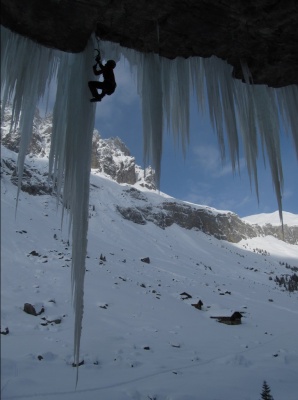 Кошки Rock Empire Machki4