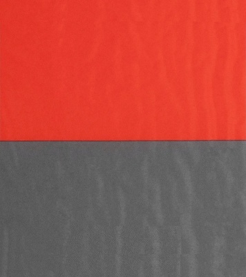 Ковер ADR TrekMat 5 (183х51х3,8см) красный/серый22